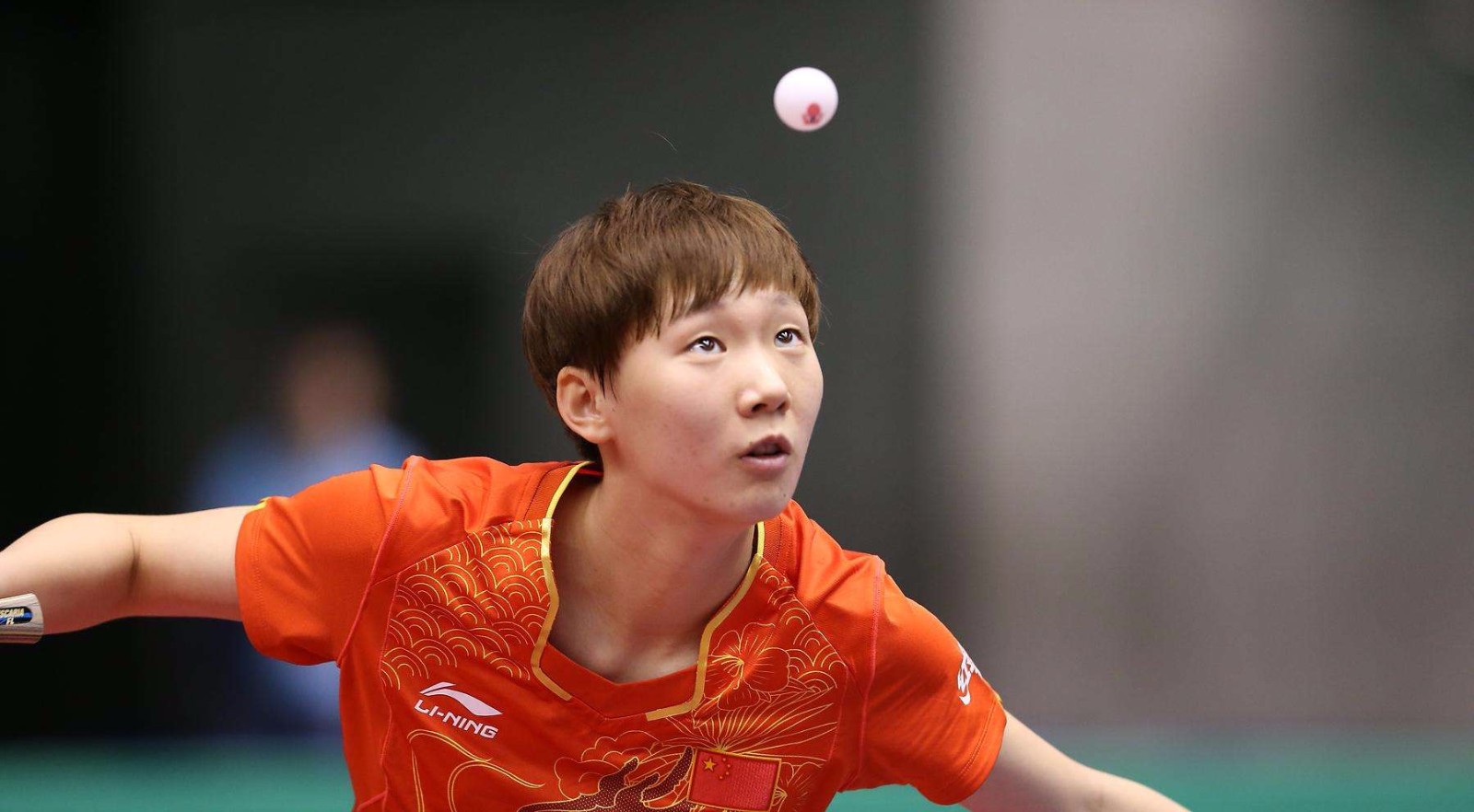 效力期间 效力期间